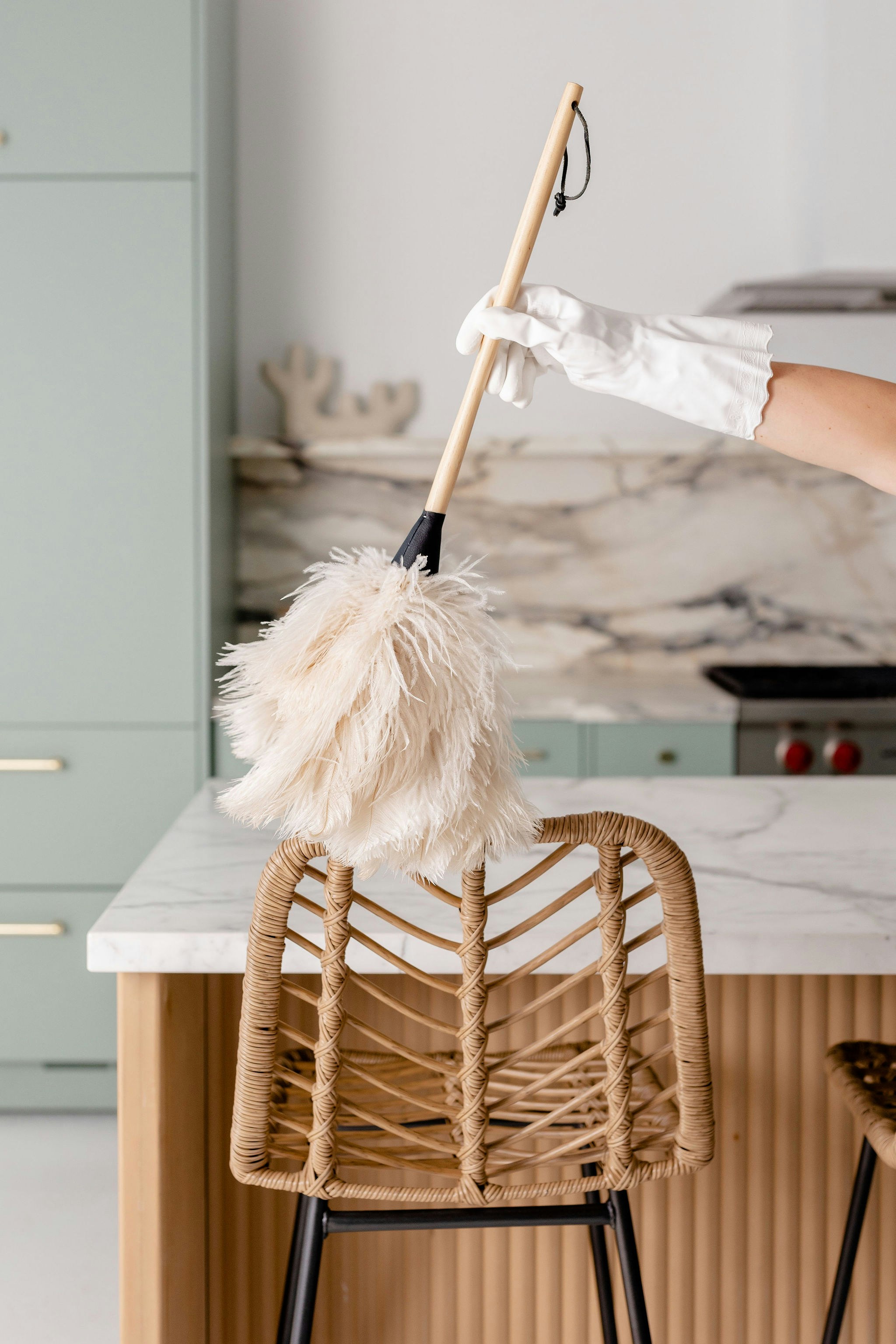 Professional house cleaning